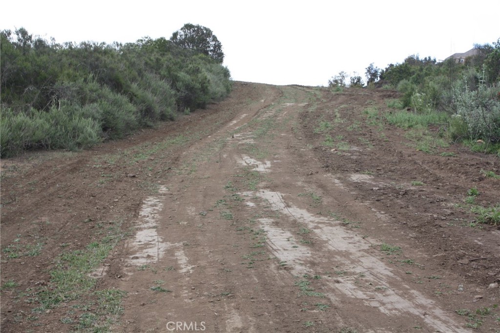 MLS #IV25090600 image #25