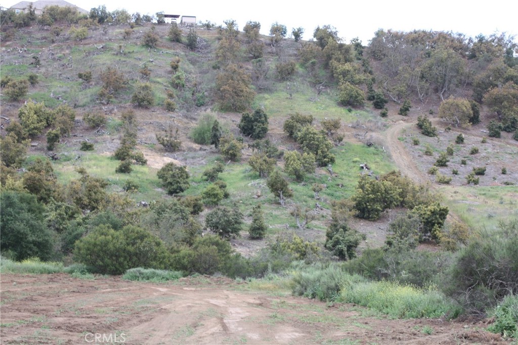 MLS #IV25090600 image #3