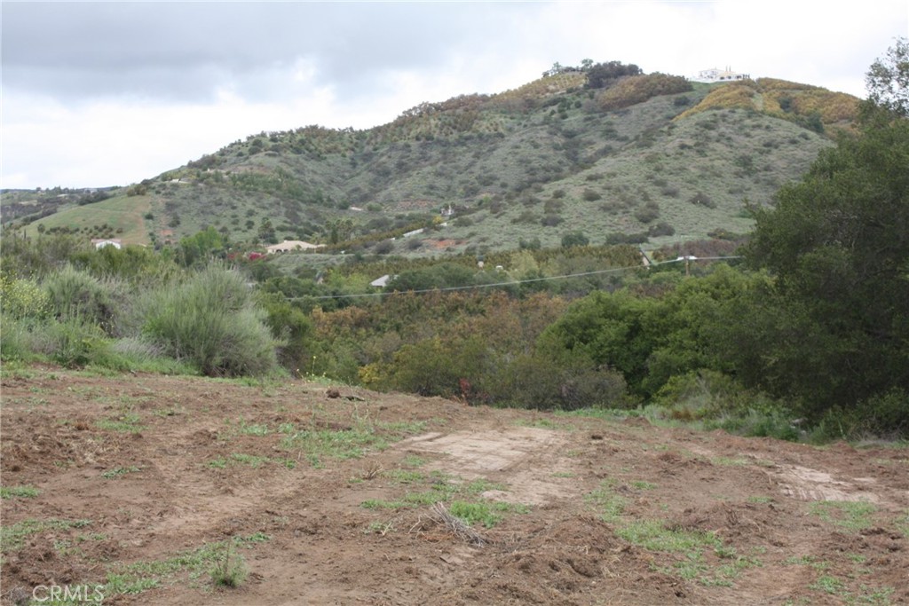 MLS #IV25090600 image #4