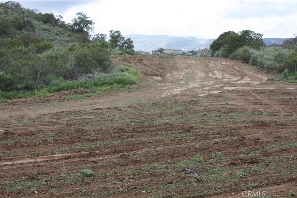 MLS #IV25090600 image #5