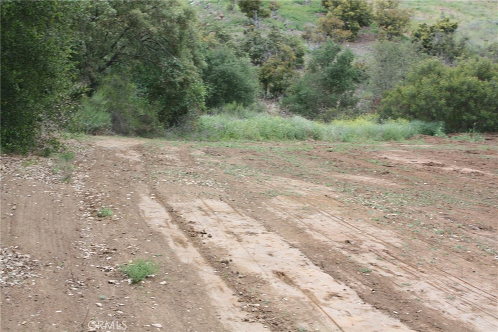 MLS #IV25090600 image #6