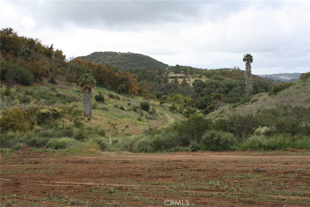 MLS #IV25090600 image #7