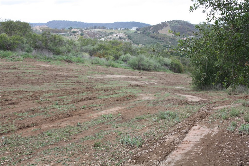 MLS #IV25090600 image #8