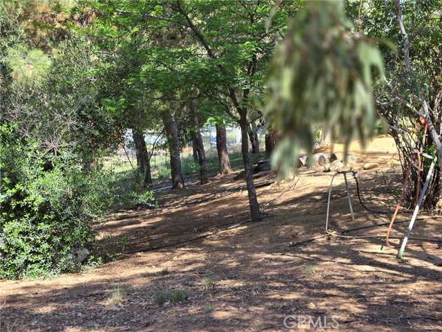 MLS #IV25104418 image #1