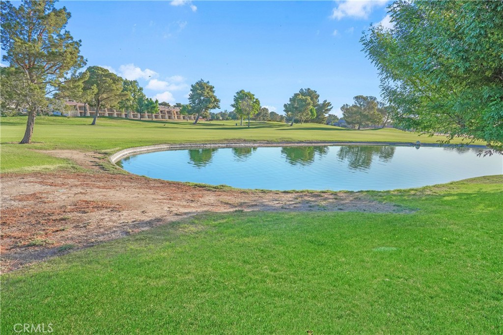 MLS #IV25106030 image #8