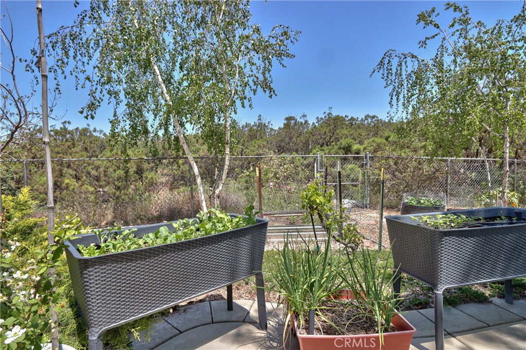 MLS #IV25107127 image #49