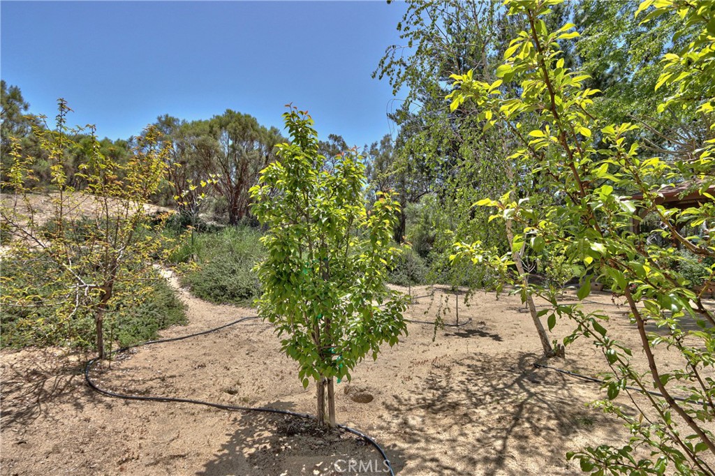 MLS #IV25107127 image #51