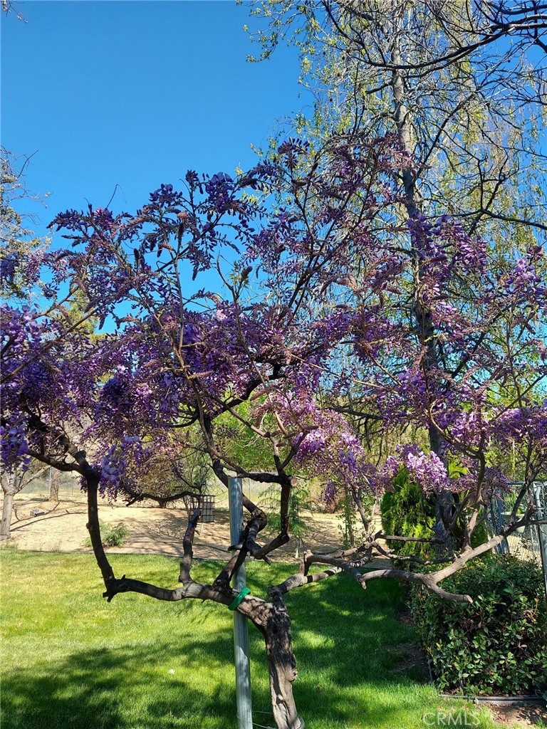 MLS #IV25107127 image #62