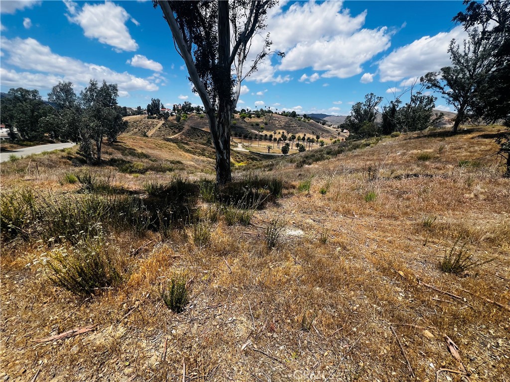 MLS #IV25109032 image #3