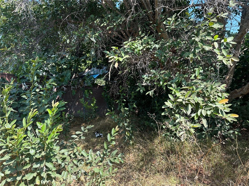 MLS #IV25113974 image #20