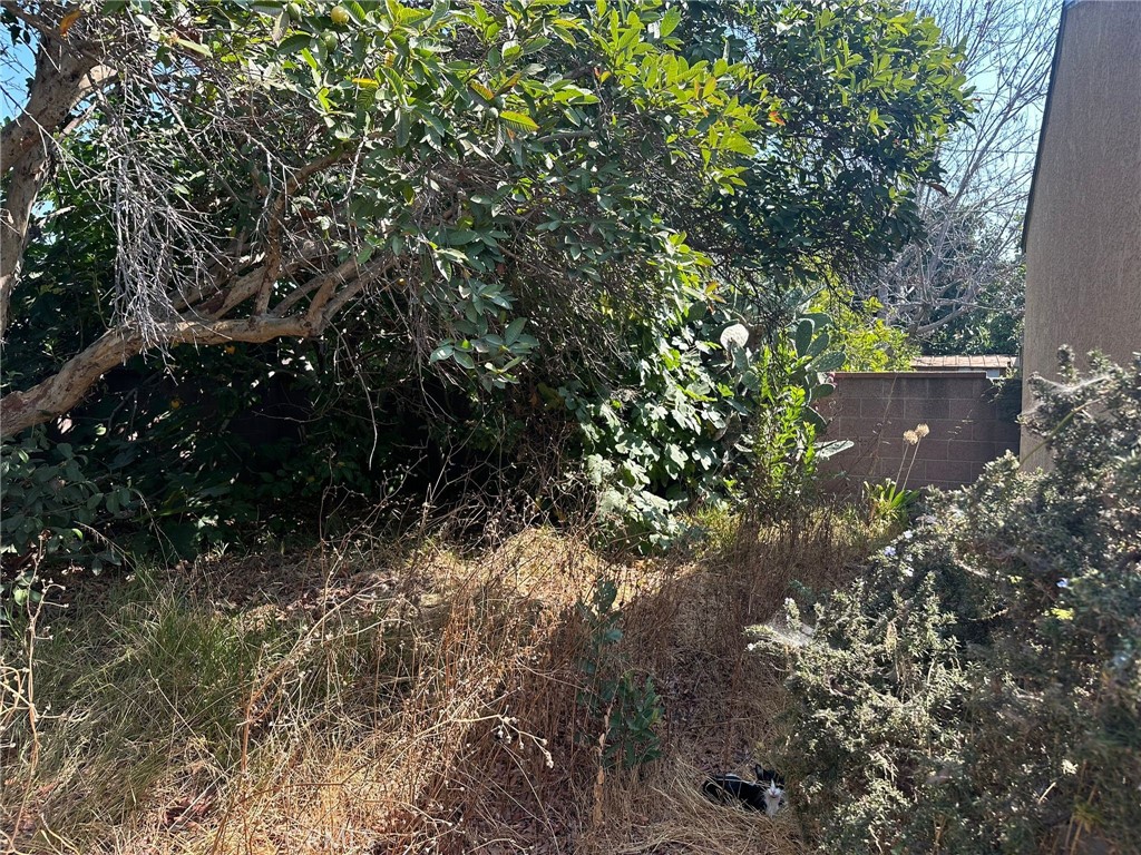 MLS #IV25113974 image #21