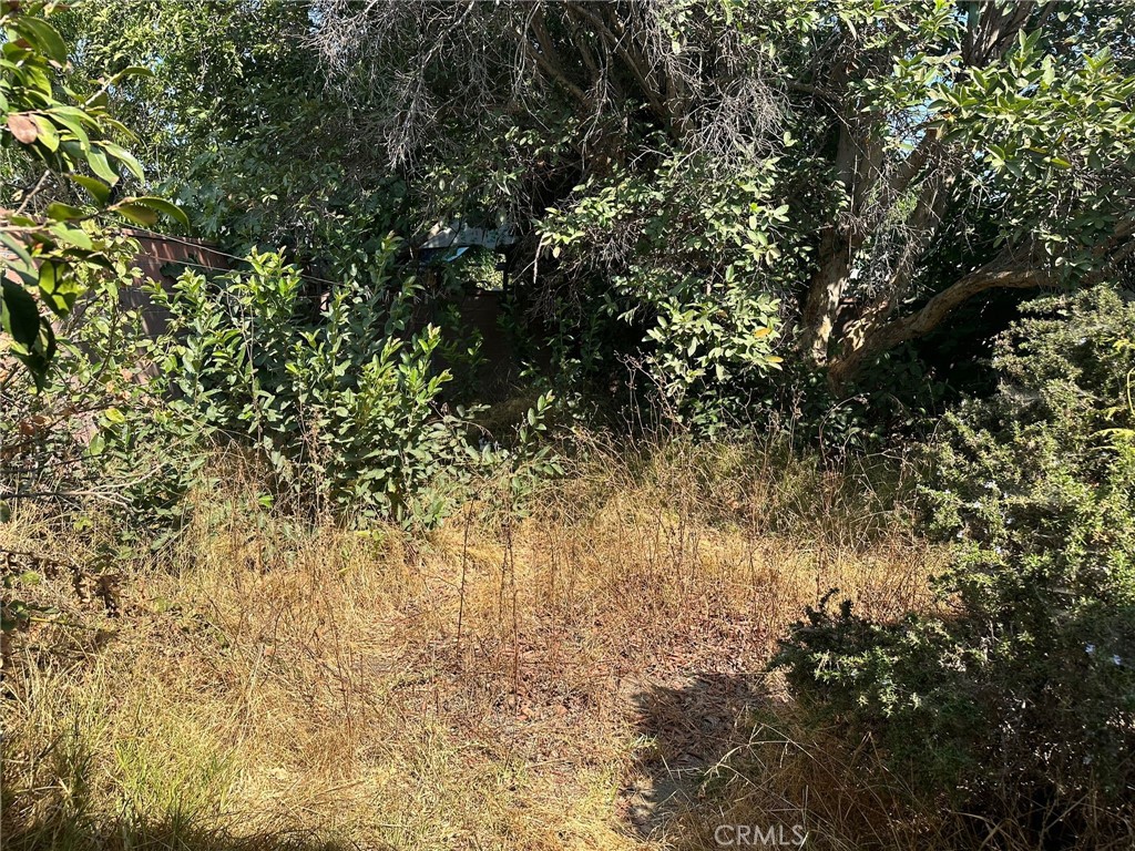 MLS #IV25113974 image #23