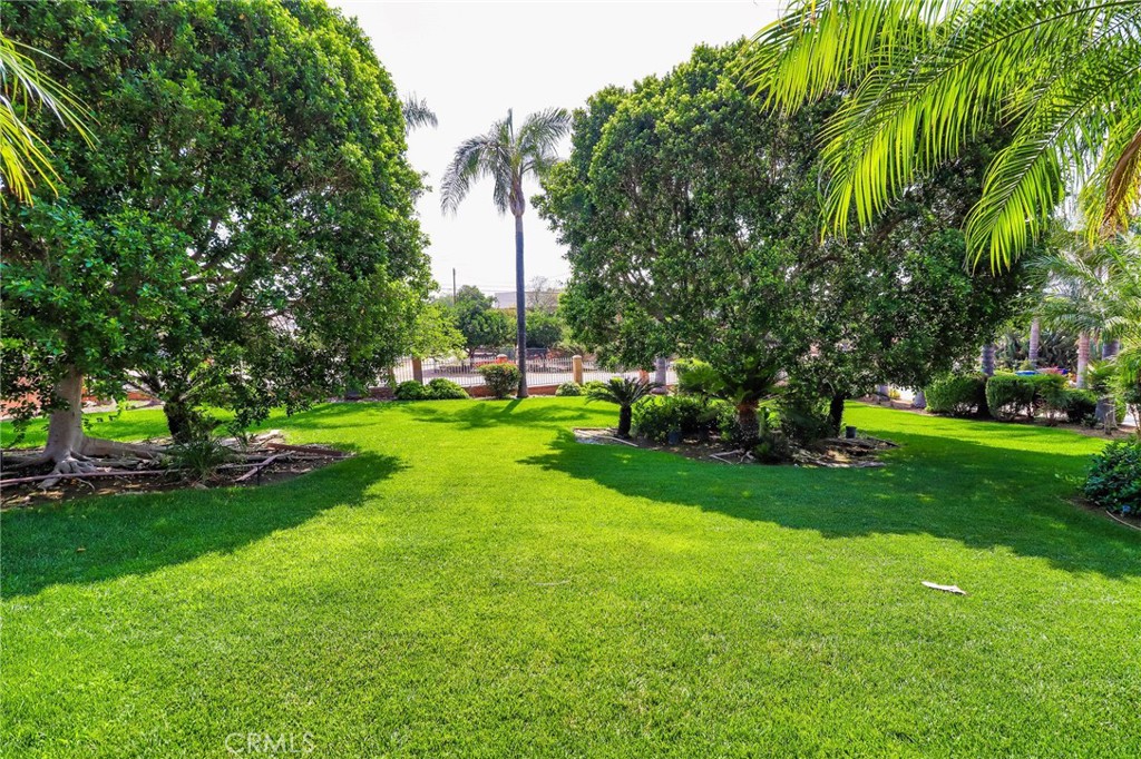 MLS #IV25114632 image #30