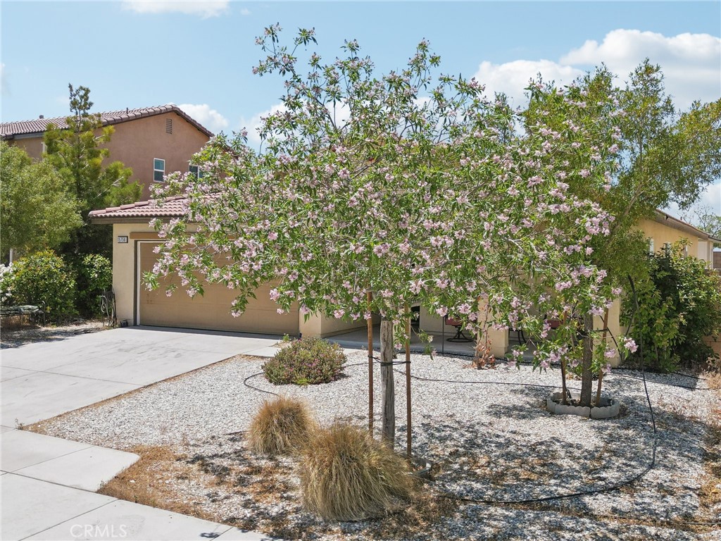 MLS #IV25119806 image #27