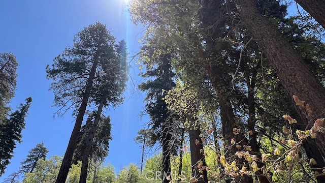 MLS #IV25123872 image #17