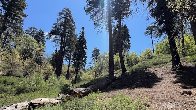 MLS #IV25123872 image #2