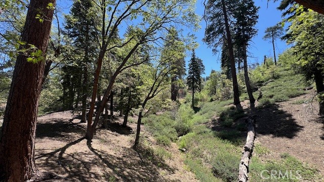 MLS #IV25123872 image #27