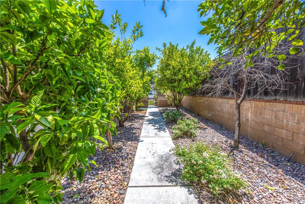 MLS #IV25131638 image #36