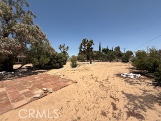 MLS #IV25136435 image #35