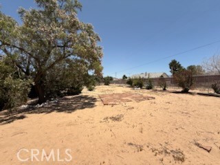 MLS #IV25136435 image #37