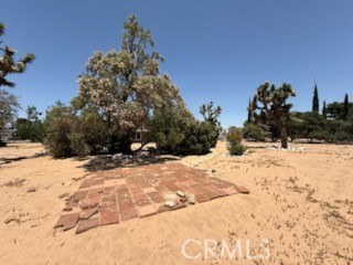 MLS #IV25136435 image #38