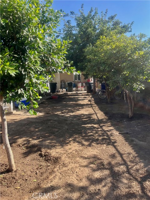 MLS #IV25152194 image #6