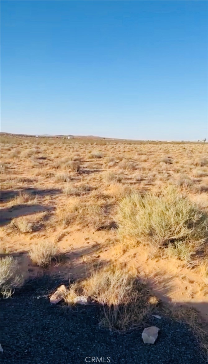 MLS #IV25153163 image #0