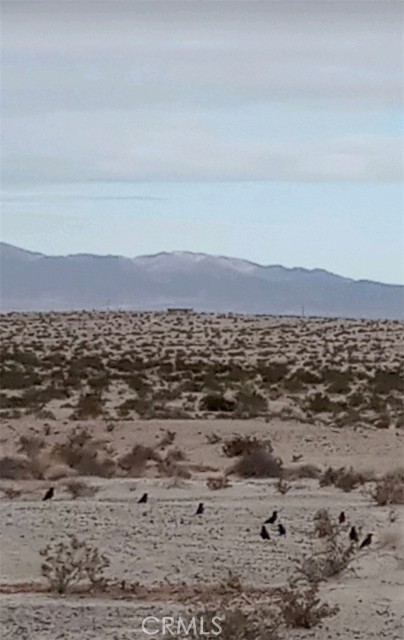 MLS #IV25154810 image #0