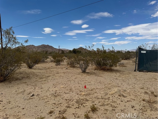 MLS #IV25155286 image #1