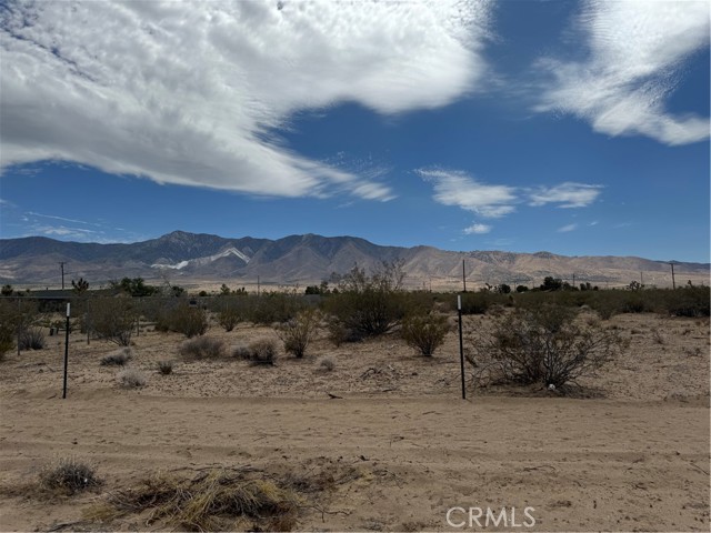 MLS #IV25155286 image #10