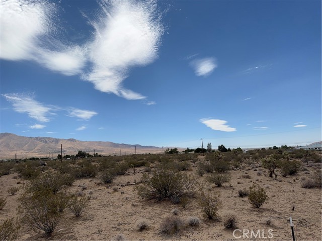 MLS #IV25155286 image #6