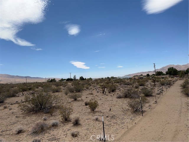 MLS #IV25155286 image #7