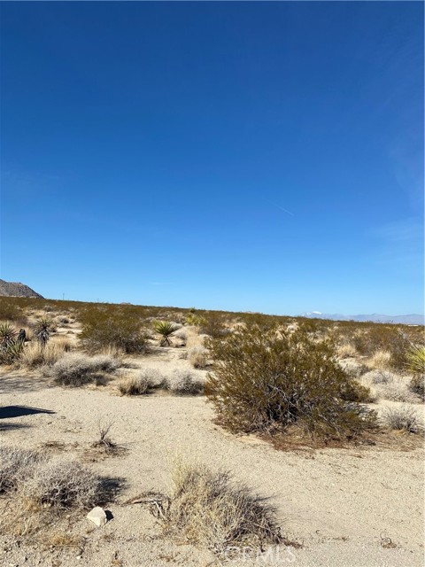MLS #IV25159473 image #1