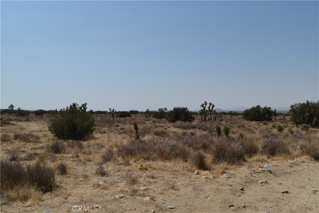 MLS #IV25163325 image #1