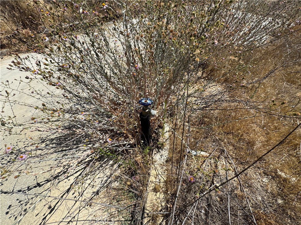 MLS #IV25178110 image #15