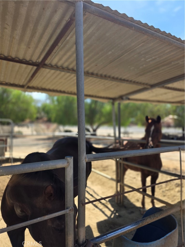 MLS #IV25178790 image #22