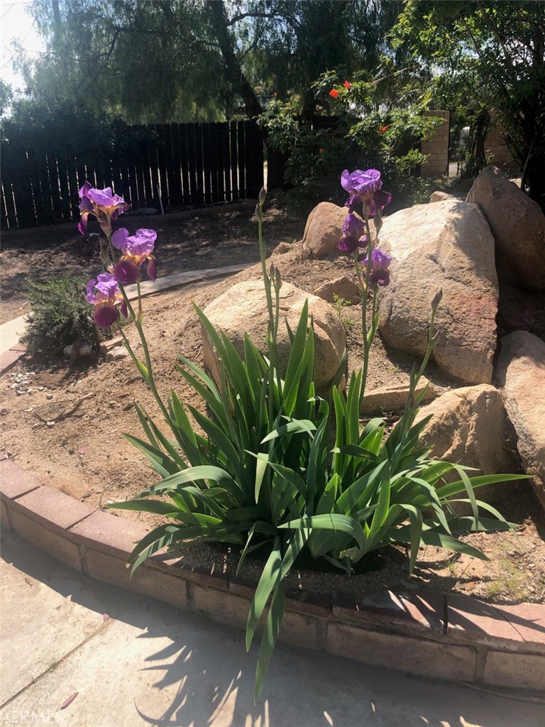 MLS #IV25178790 image #26