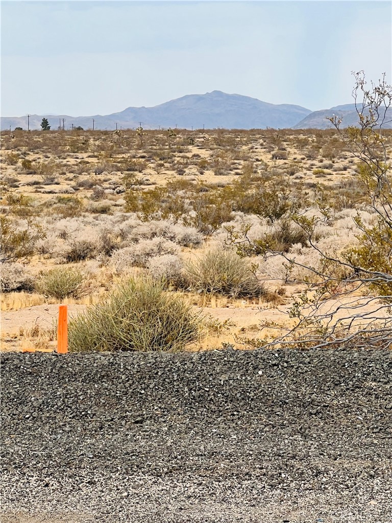 MLS #IV25178984 image #3