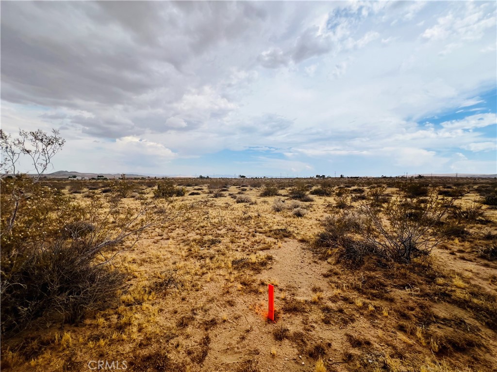 MLS #IV25178984 image #7