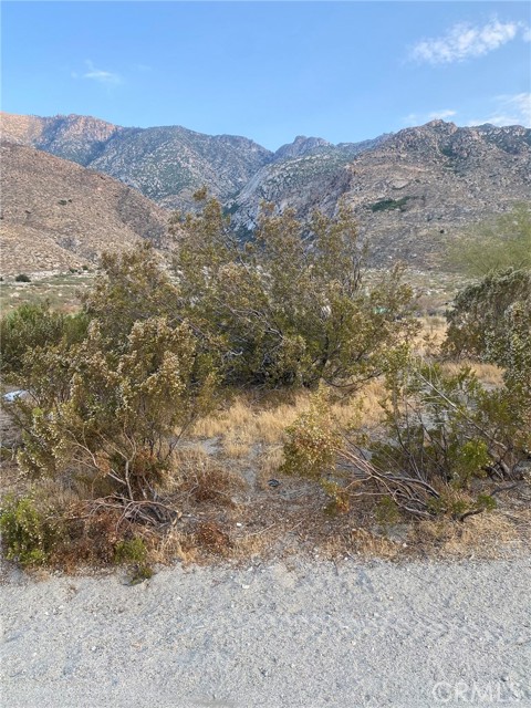 MLS #IV25180394 image #4