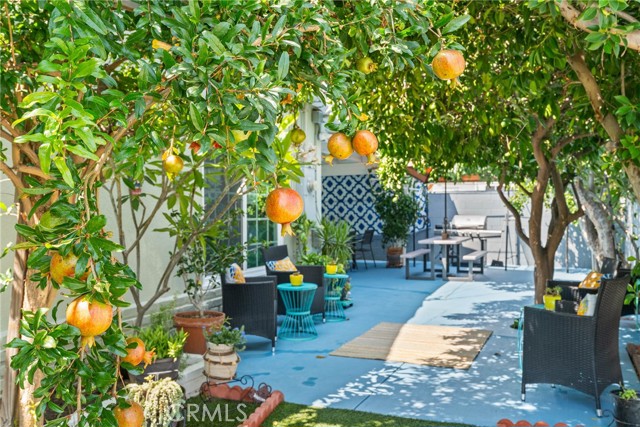 MLS #IV25184146 image #9