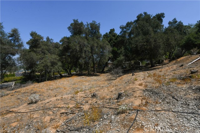 MLS #IV25185210 image #34