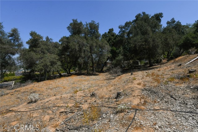 MLS #IV25185210 image #36