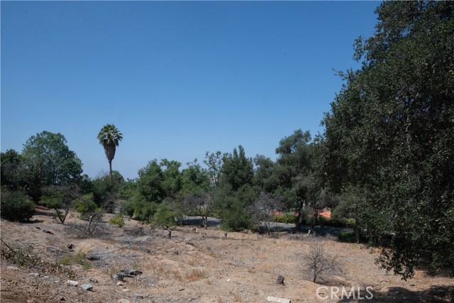 MLS #IV25185210 image #37