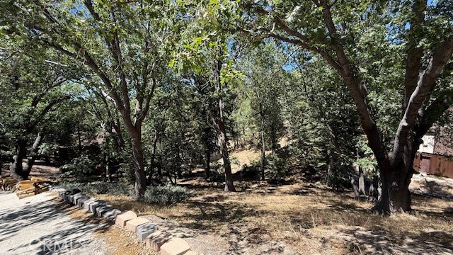 MLS #IV25185644 image #2