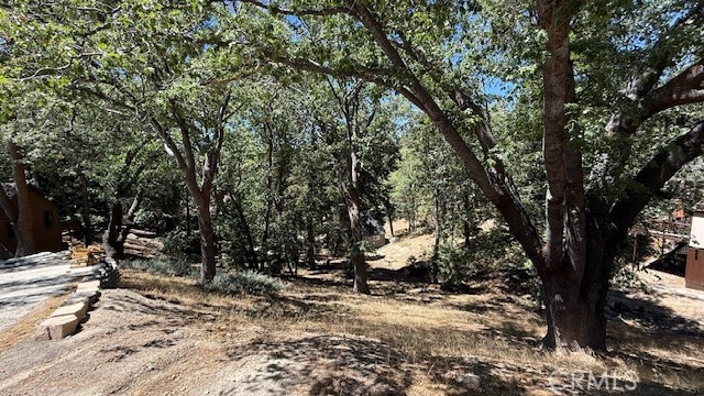 MLS #IV25185644 image #3