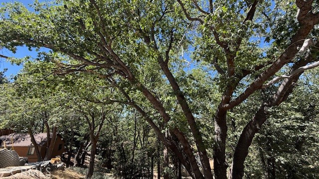 MLS #IV25185644 image #4