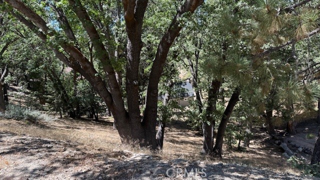 MLS #IV25185644 image #5