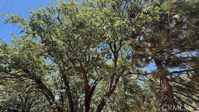 MLS #IV25185644 image #6