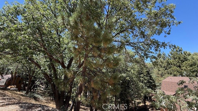 MLS #IV25185644 image #7